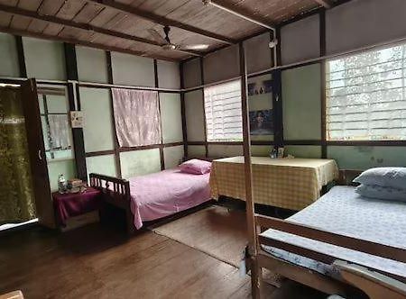 Asomi Singpho Homestay Tinsukia Ngoại thất bức ảnh